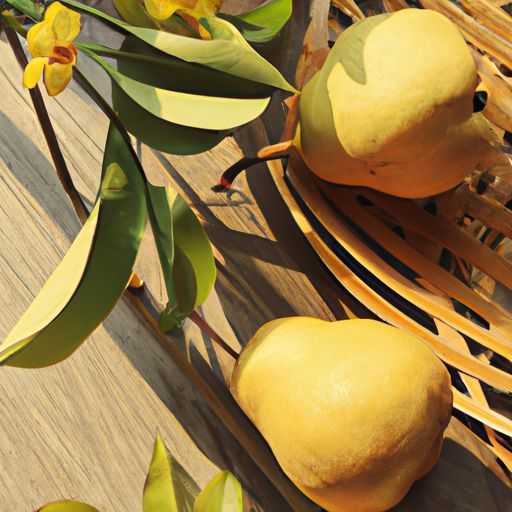 非酸枝和红花梨哪个好