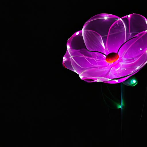 紫罗兰(紫罗兰永恒花园) 紫罗兰(紫罗兰永恒花园)