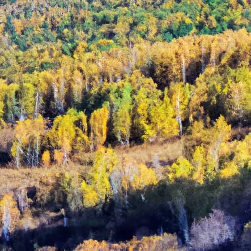 桦木和榉木哪个价格高