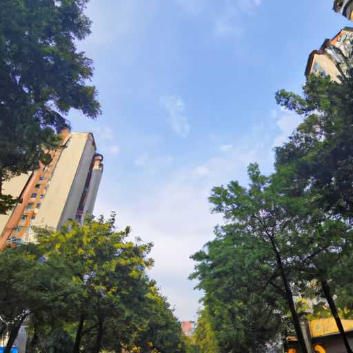 黄村哪个小区最好