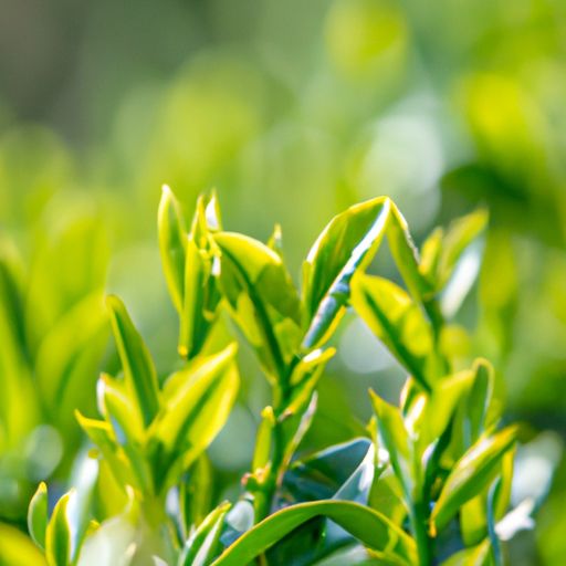 吸尘器哪个牌子好(吸尘器哪个牌子好用又便宜) 吸尘器哪个牌子好(吸尘器哪个牌子好用又便宜)