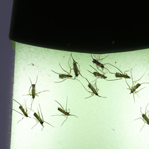 光触媒灭蚊灯 光触媒灭蚊灯