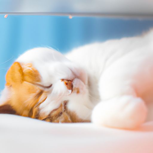 空调哪个模式适合睡觉 空调哪个模式适合睡觉