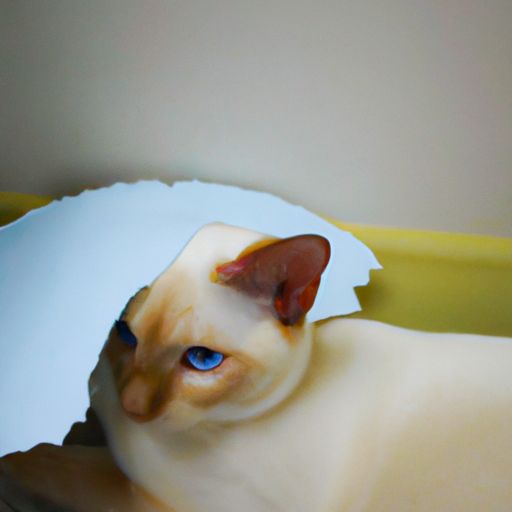 感应蹲便器 感应蹲便器