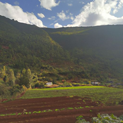 朗慕和凉山泊哪个更好