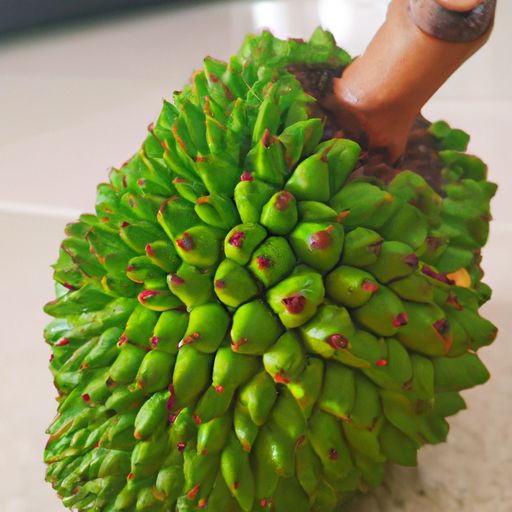 榴莲和菠萝蜜哪个营养好