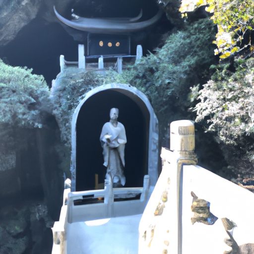 龙岩素和观音素哪个好