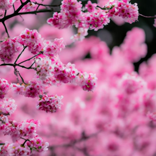 门铃开关（门铃开关接线示意图）