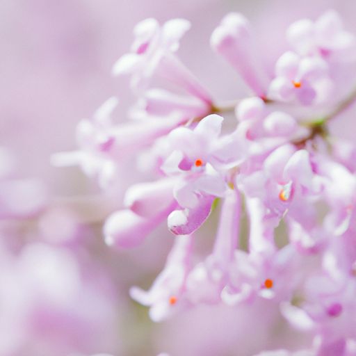 增压花洒 增压花洒