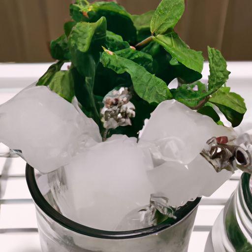 冰箱冬天一般用几档最好