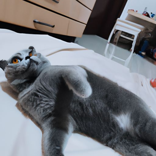 哪个移动空调好 哪个移动空调好