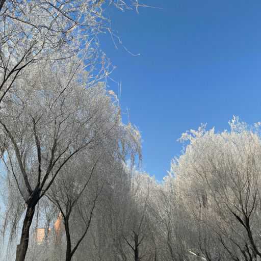 沈阳和吉林哪个冬天冷 沈阳和吉林哪个冬天冷