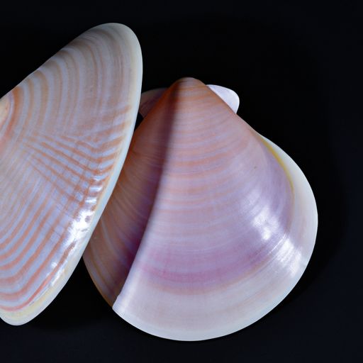 贝壳和链家什么关系