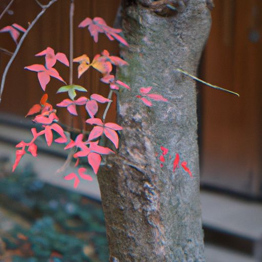 小叶紫檀和乌木哪个好 小叶紫檀和乌木哪个好