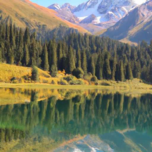 装修涂漆的有哪些常犯的错误? 装修涂漆的有哪些常犯的错误?