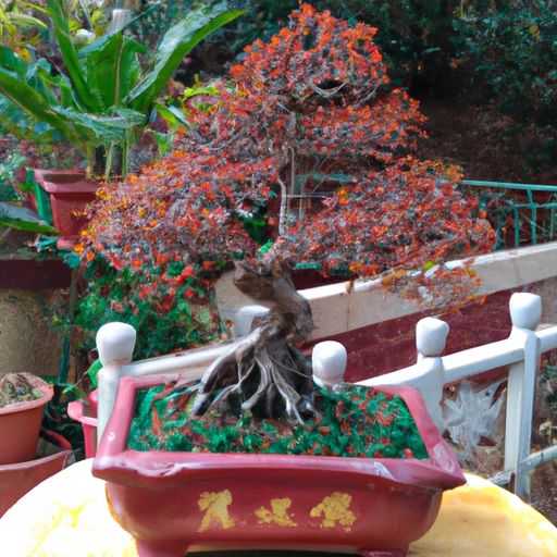 摇钱树和财神哪个好