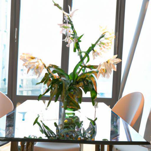 家装设计用什么软件