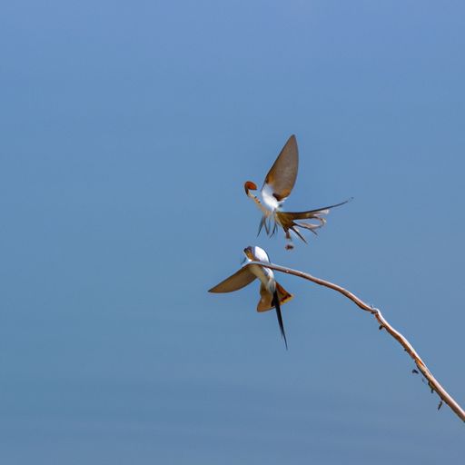 腻子粉墙面如何施工