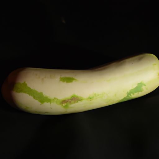 瓜子别名叫什么