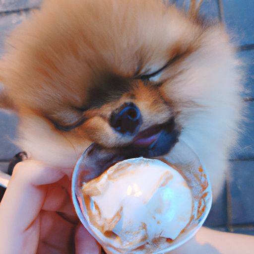 茶杯犬多少钱一只 茶杯犬多少钱一只