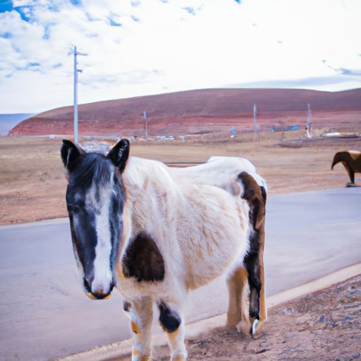 墙纸铺贴保障装修质量只需这四方面