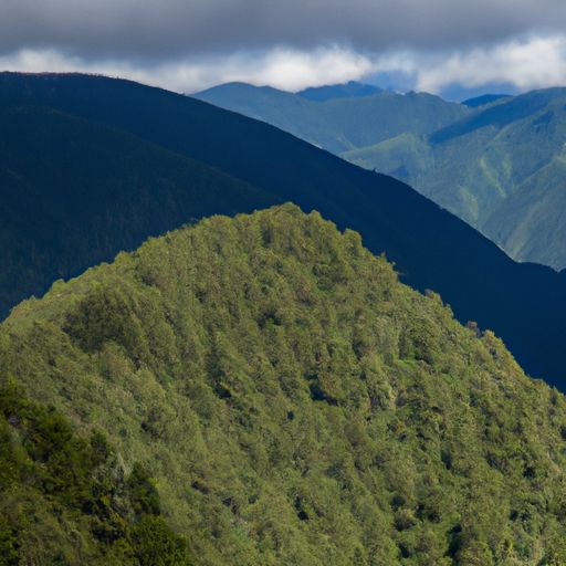 环氧地坪 环氧地坪