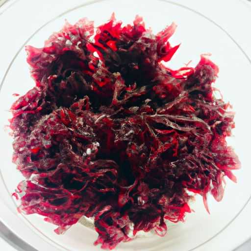 被子买什么材质的最好