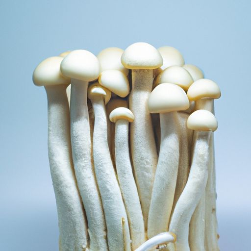 壁纸与家居色彩搭配技巧 来看看吧！