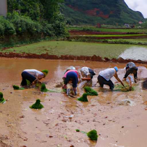 卫浴贴砖工序全方面分析