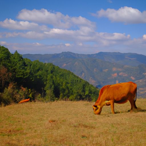 公牛和突破插座哪个好 公牛和突破插座哪个好