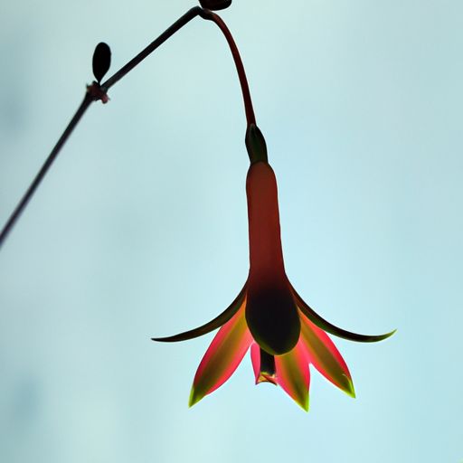 电视壁挂架(电视壁挂架怎么安装) 电视壁挂架(电视壁挂架怎么安装)