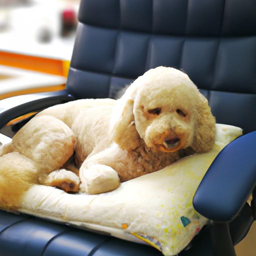 纹肉机哪个牌子好(纹肉机哪个牌子好用) 纹肉机哪个牌子好(纹肉机哪个牌子好用)