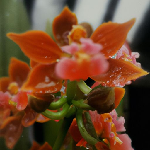 海景卫浴（海景卫浴是一线品牌吗）