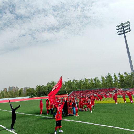 童车哪个牌子好（永久和飞鸽童车哪个牌子好）