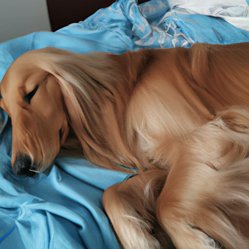 睡草席和床单哪个好