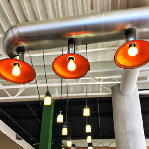 熊童子（熊童子的种植和养护方法）