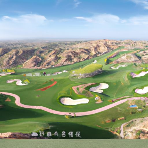 新疆棉和山东棉哪个贵