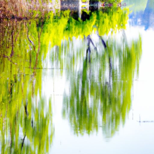  牛筋布和帆布哪个好？一文解答 