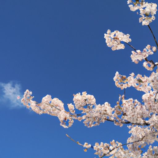 樱花油烟机哪个好用吗