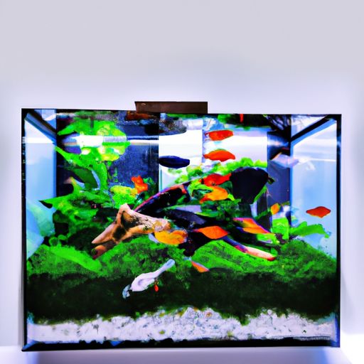 鱼缸增养泵哪个品牌好 鱼缸增养泵哪个品牌好