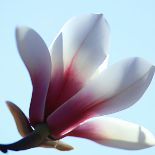 林内热水器和史密斯哪个好（林内热水器和史密斯哪个好一点）