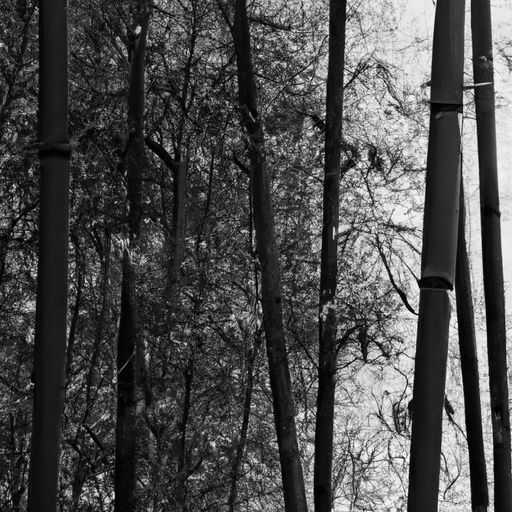 竹席凉席哪个牌子 竹席凉席哪个牌子