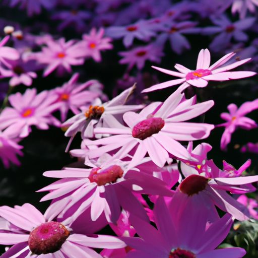 紫色和哪个色搭好看