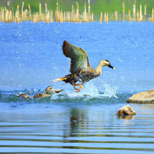 漏水怎么找漏水点