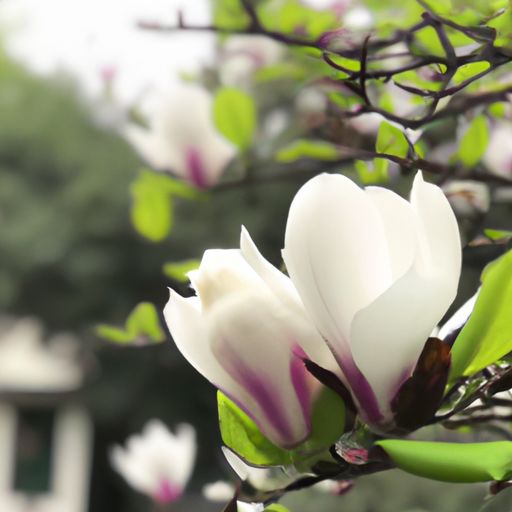 白色和灰紫哪个颜色好