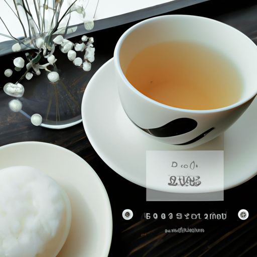 涤纶和锦纶哪个更透气