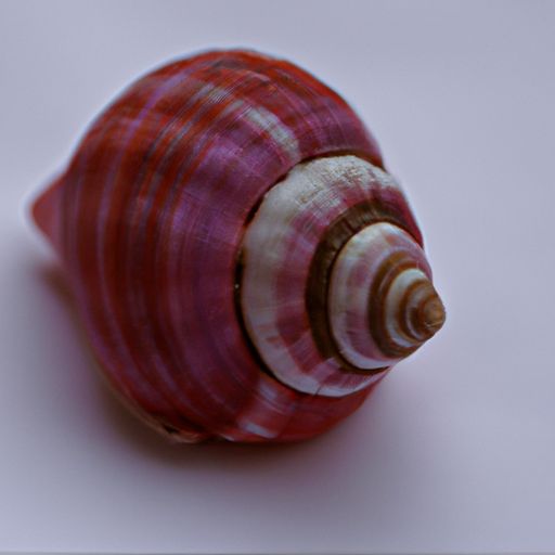 红螺