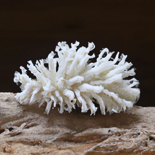 手绘艺术墙的历史小知识