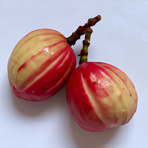 红提和夏黑哪个好