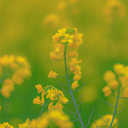 房子漏水吗？建筑防水刻不容缓！